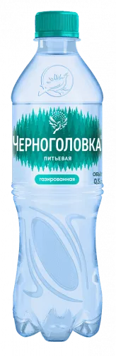 Вода Черноголовка / Черноголовская 0,5 л. газированная (12 бут.) - основное фото
